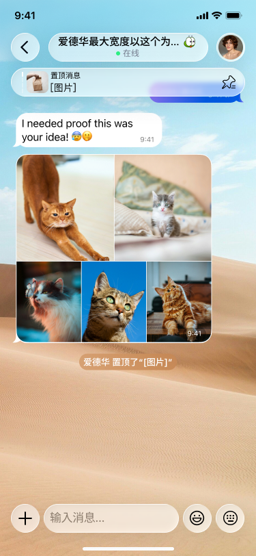 Soona 联系人会话界面